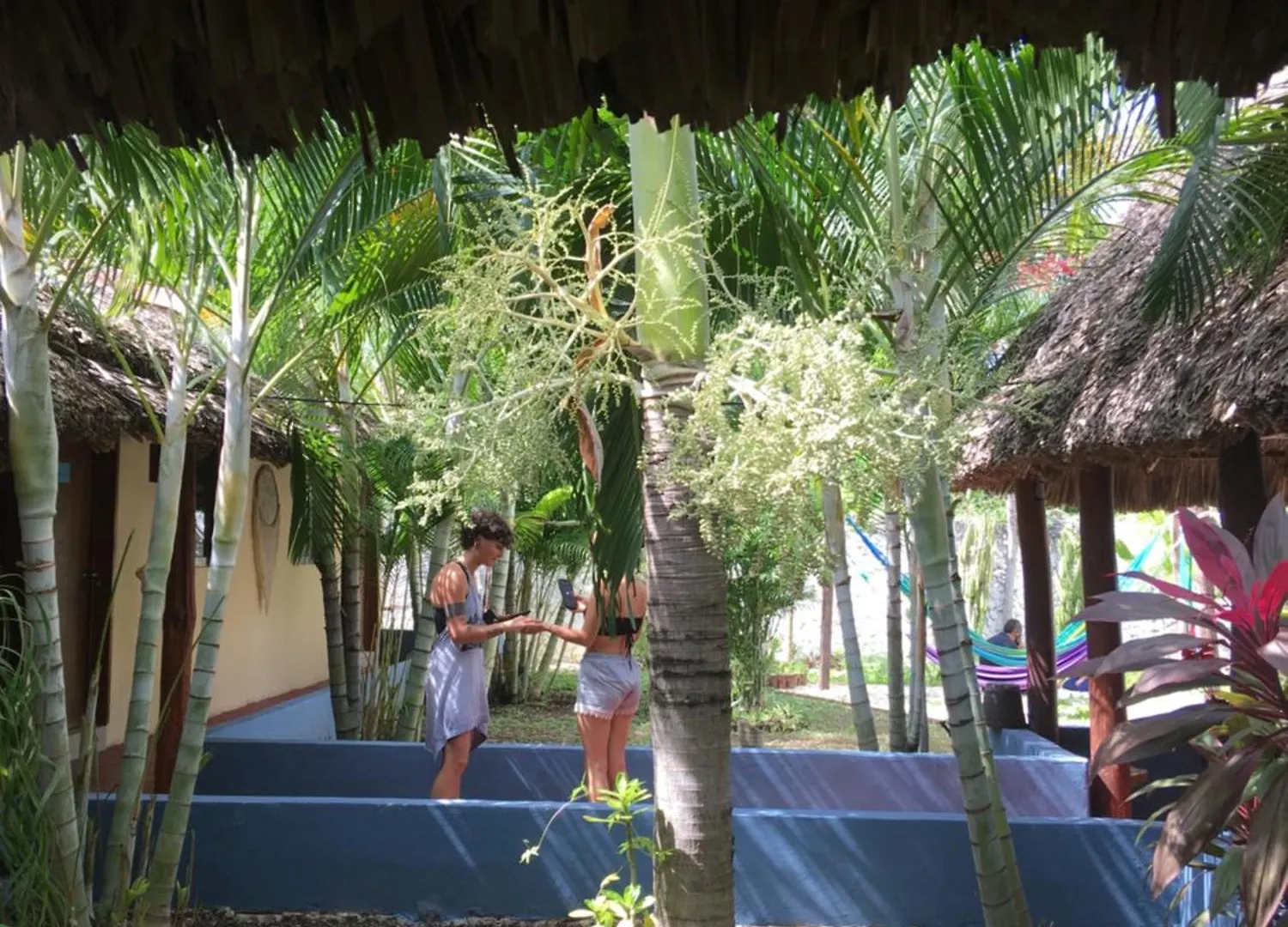Guest house Casa Bokoba Bacalar Hotel